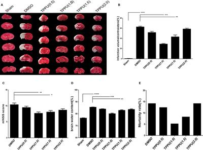 Protective Effects of the Soluble Epoxide Hydrolase Inhibitor 1-Trifluoromethoxyphenyl-3-(1-Propionylpiperidin-4-yl) Urea in a Rat Model of Permanent Middle Cerebral Artery Occlusion